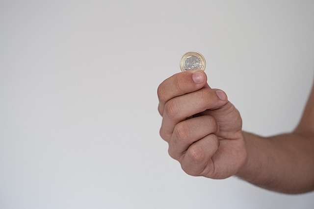 Budget and cash flow views screenshot