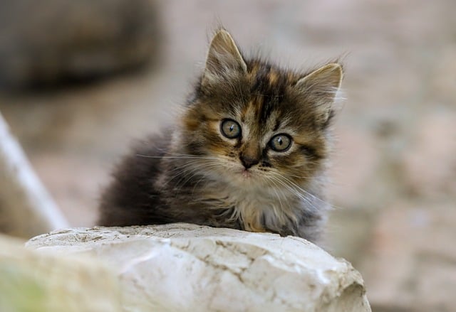 Portrait of StackFunds Head of Research